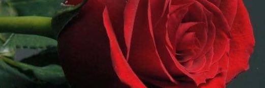 OrianwoP's profile banner image