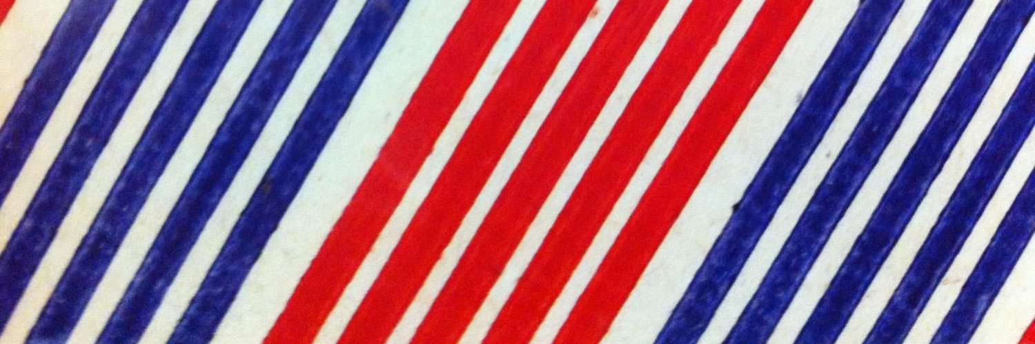 Bryan M Johnson banner