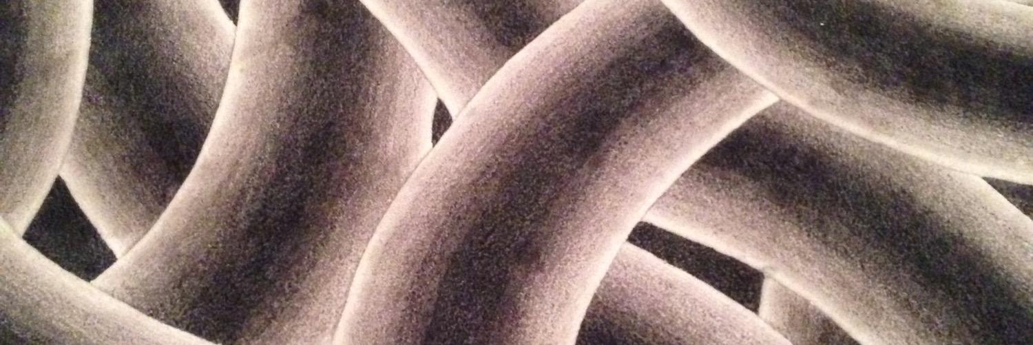 Joss Croft OBE - 杨博路 banner