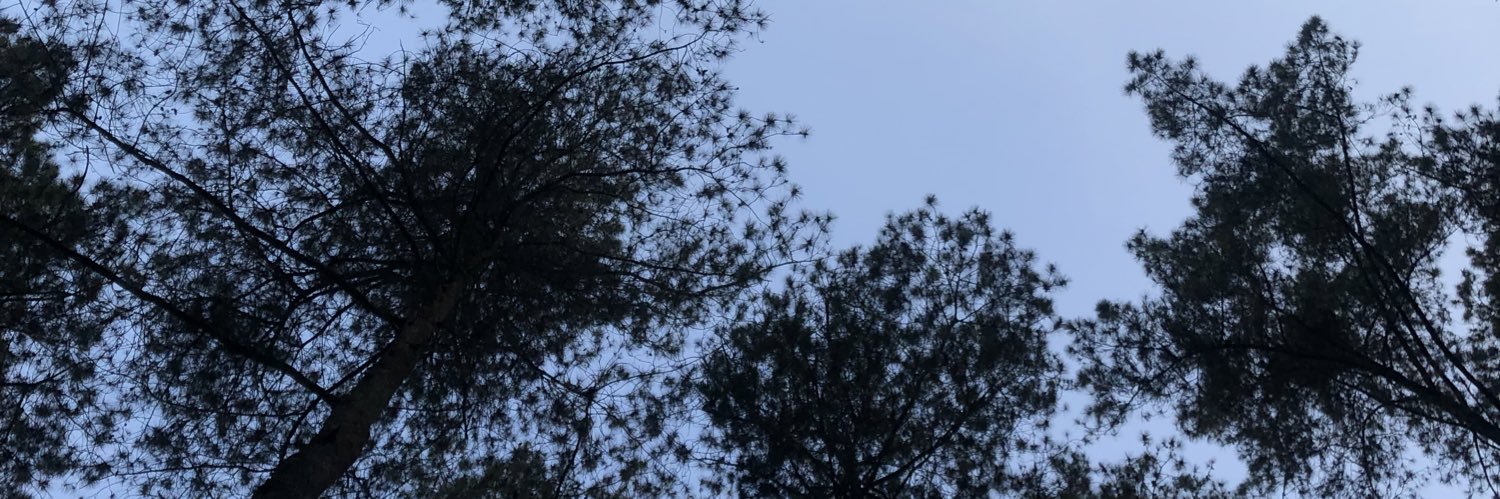 LoleticiaJ's profile banner image