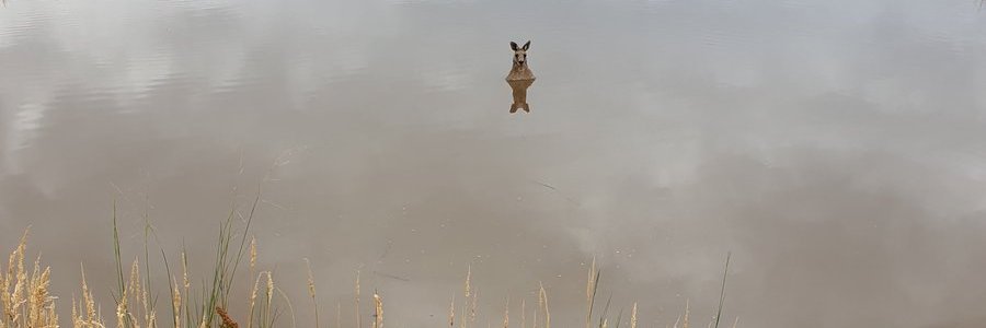dialniall's profile banner image