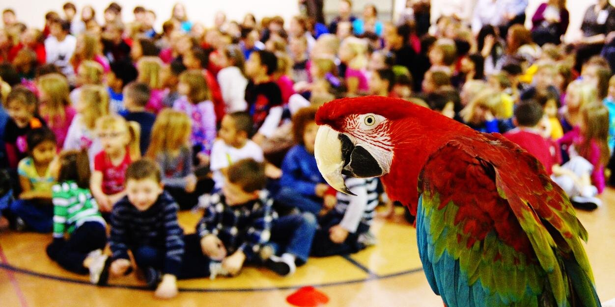 Wildlife Encounters banner