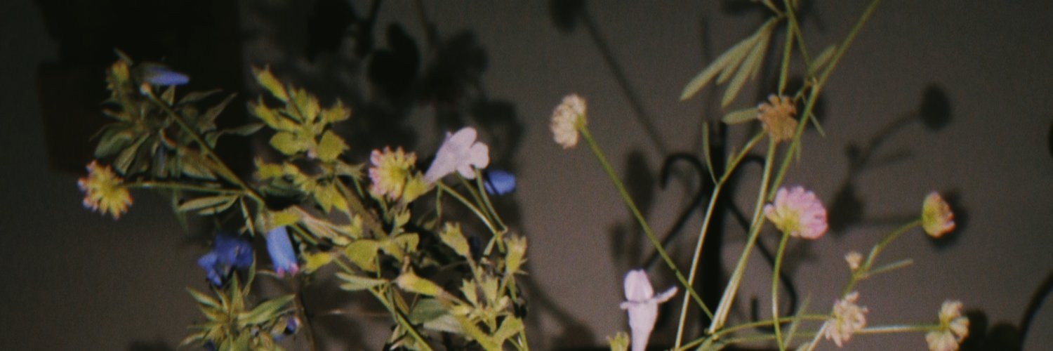 _LauraVidal_'s profile banner image