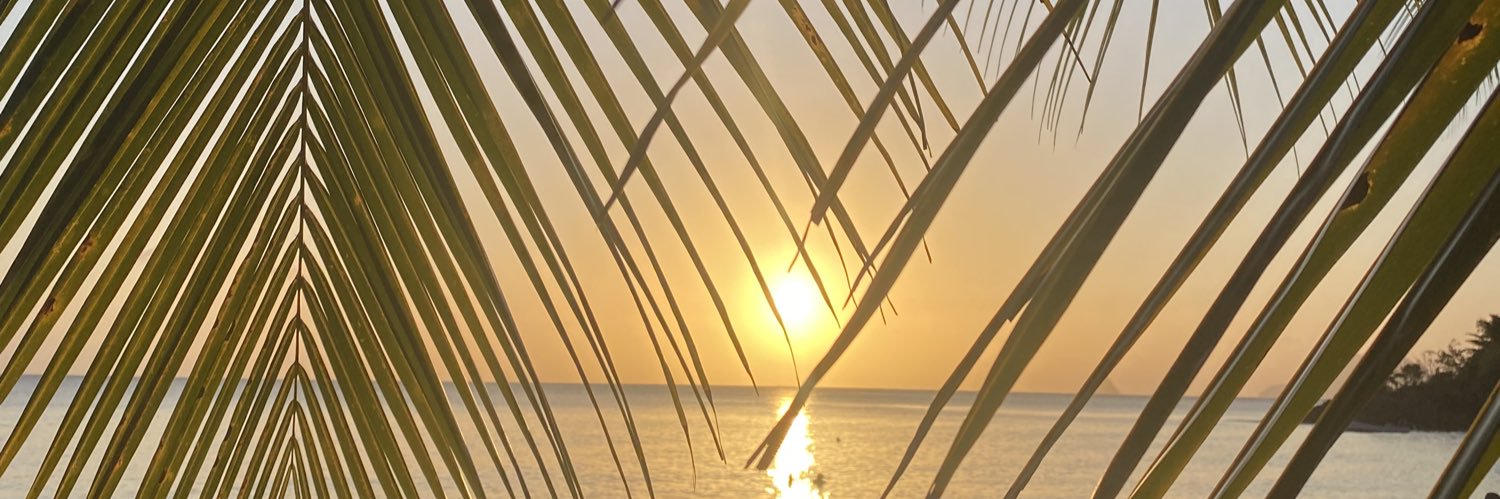 corinne costa banner