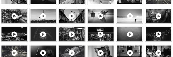 VidiXplore Profile Banner