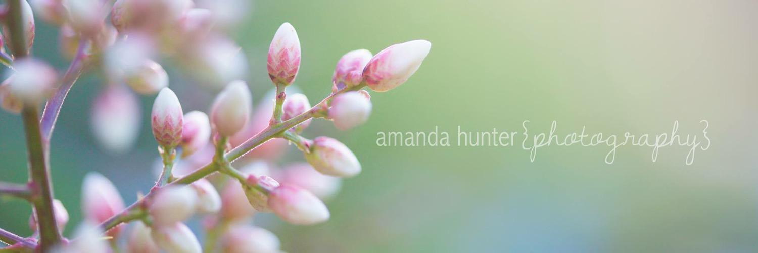 AH17Photography's profile banner image