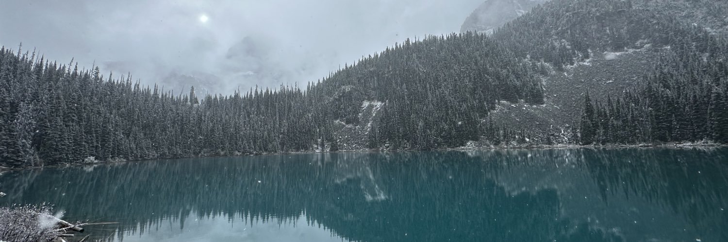 bemaot's profile banner image