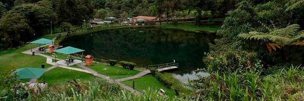 Caniza73's profile banner image