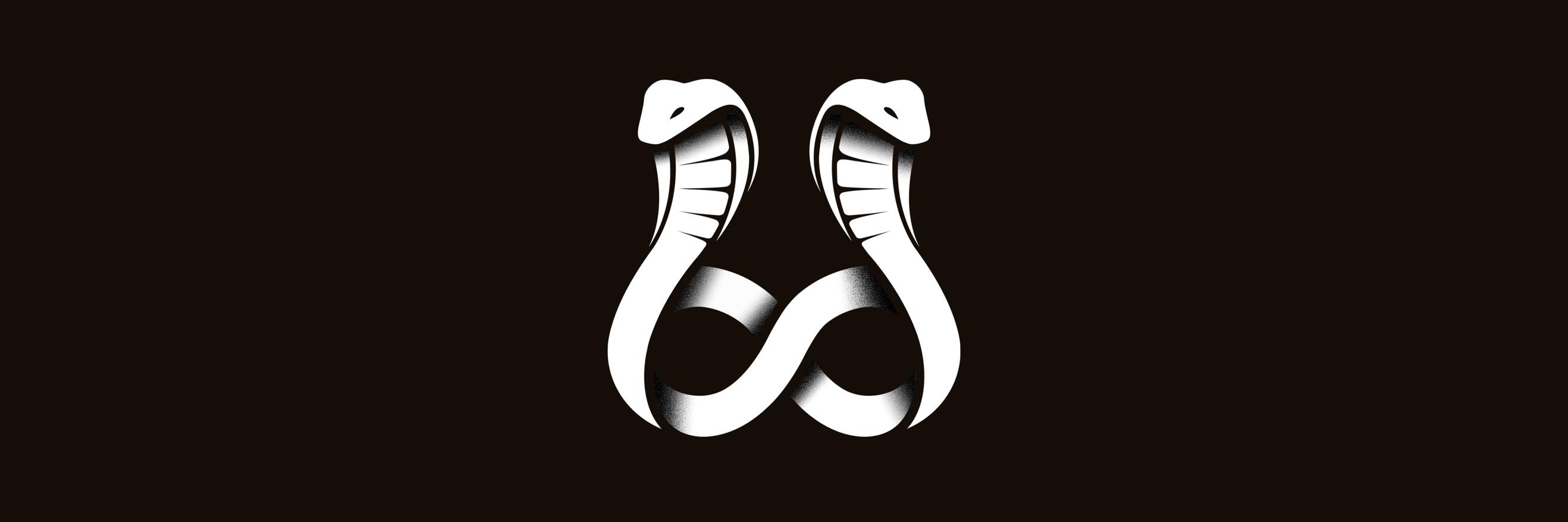 cobraeffect's profile banner image