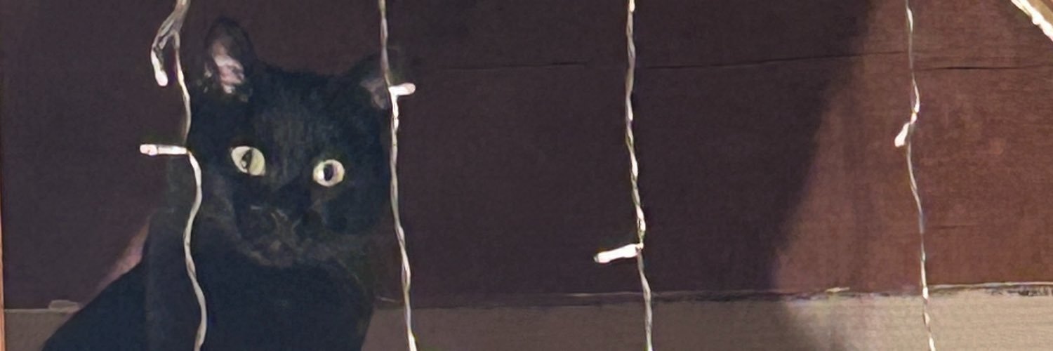 Mxinbt's profile banner image