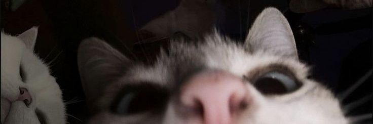 xnuonx's profile banner image