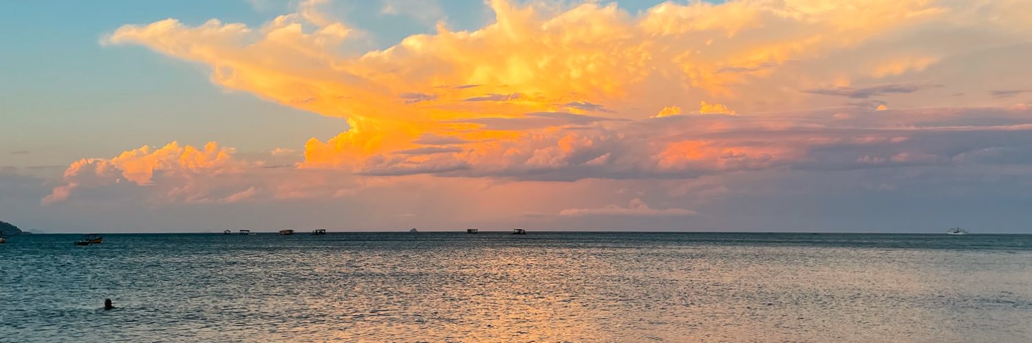beatriz banner