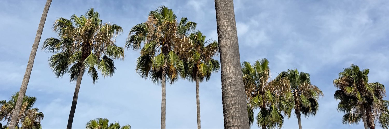AmandaBarrioos's profile banner image