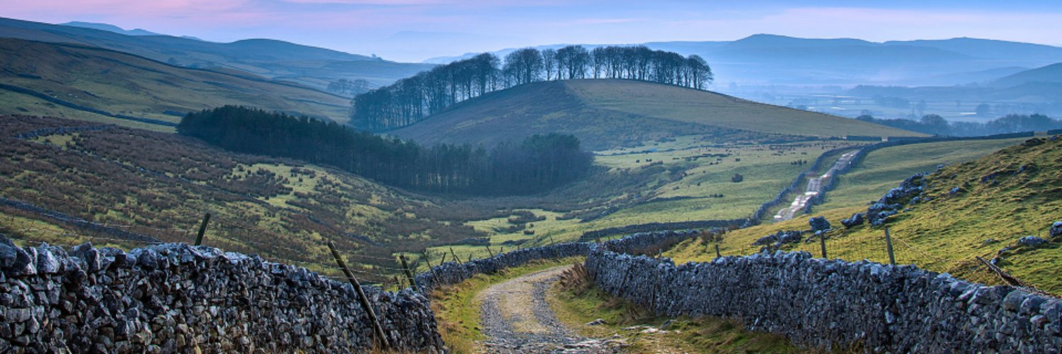 Philip Armitage Profile Banner