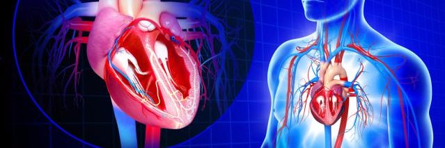 cardio-research.com banner