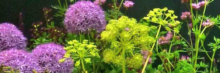 Butter Wakefield banner