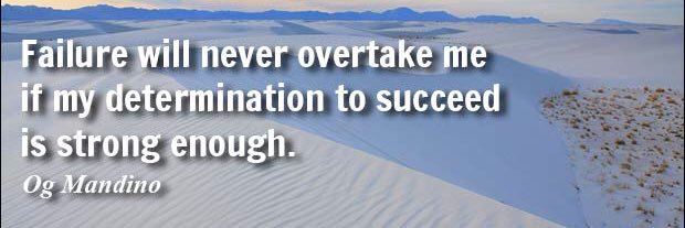 La Salle Lightning banner