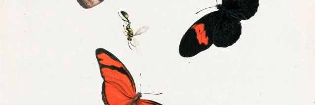 LordeAlli's profile banner image