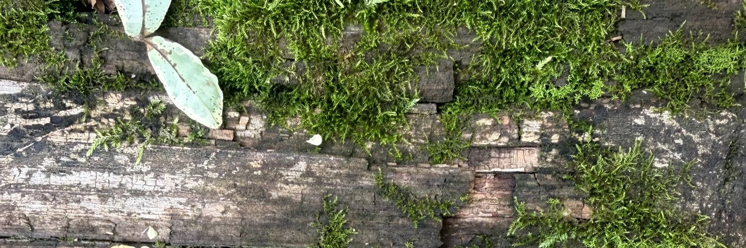 jduhls's profile banner image