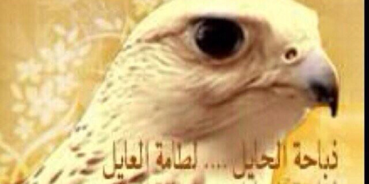 نايف العتيبي  banner