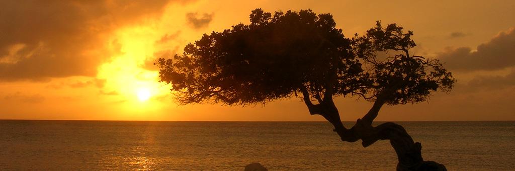 884life2's profile banner image