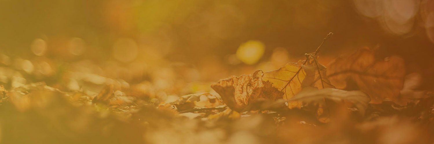 FuntsProject's profile banner image
