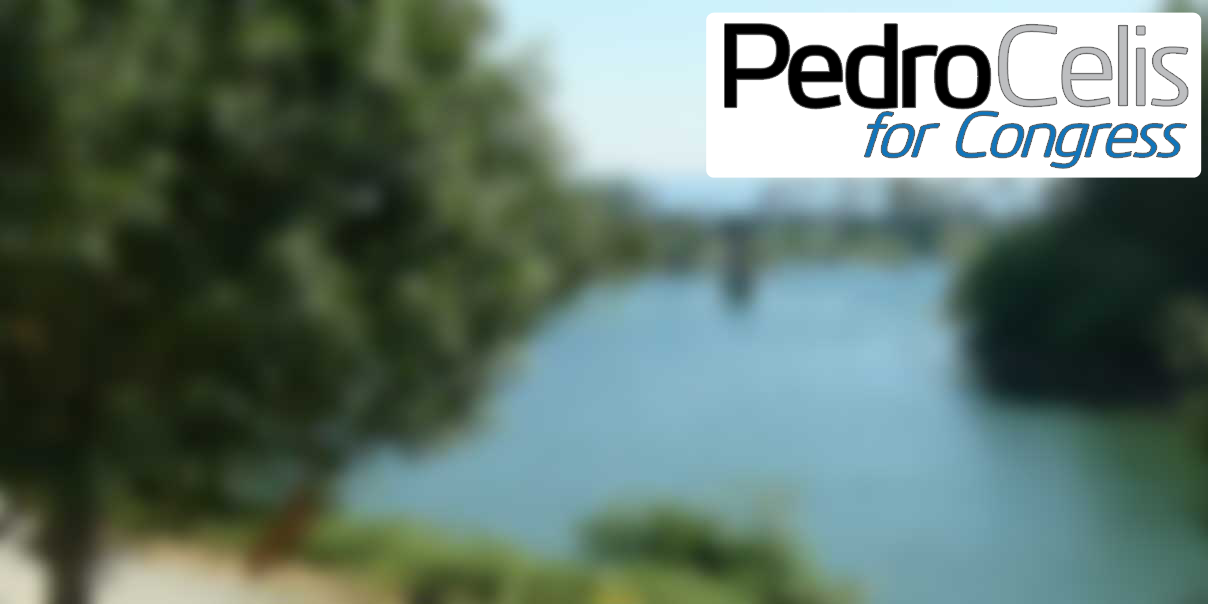 Pedro4Congress's profile banner image