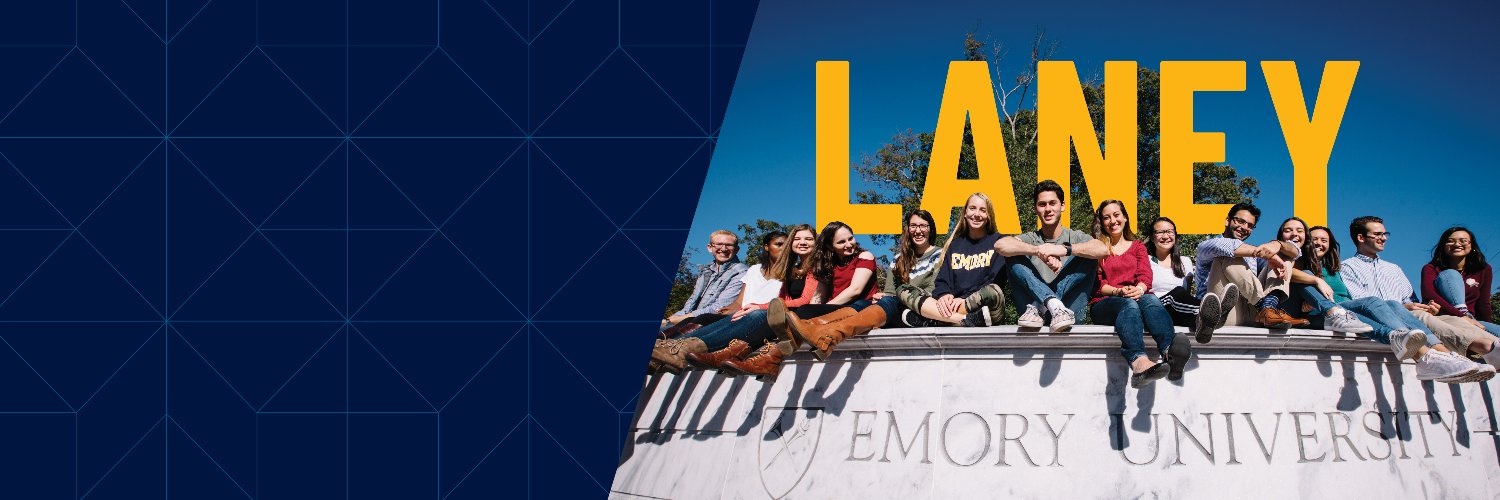 laneygradschool's profile banner image