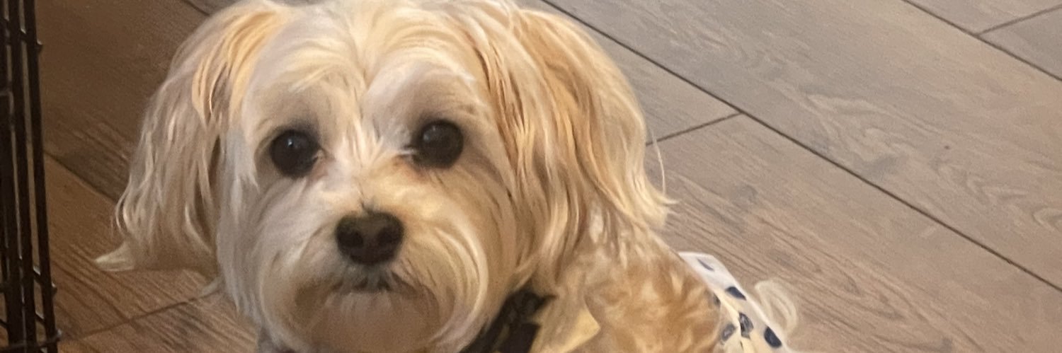 Payacho's profile banner image