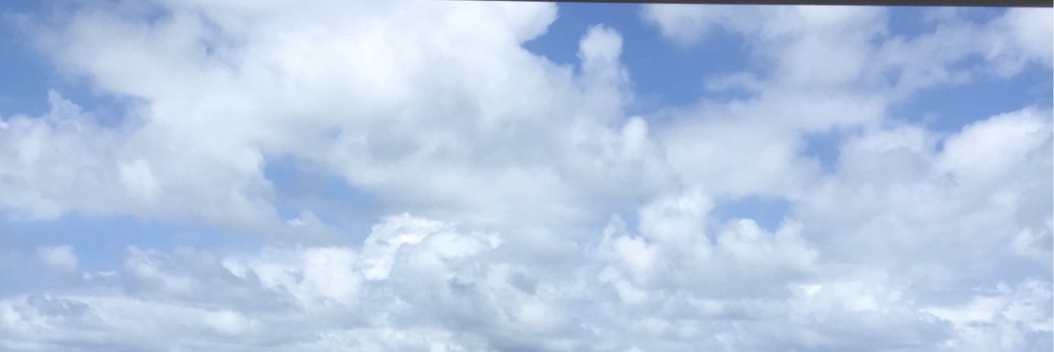 dantevalezzi's profile banner image