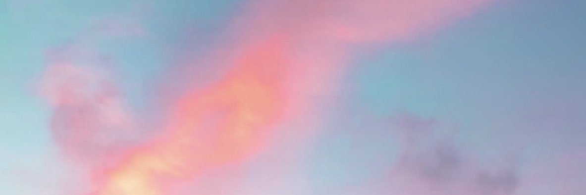 florwhitesides's profile banner image