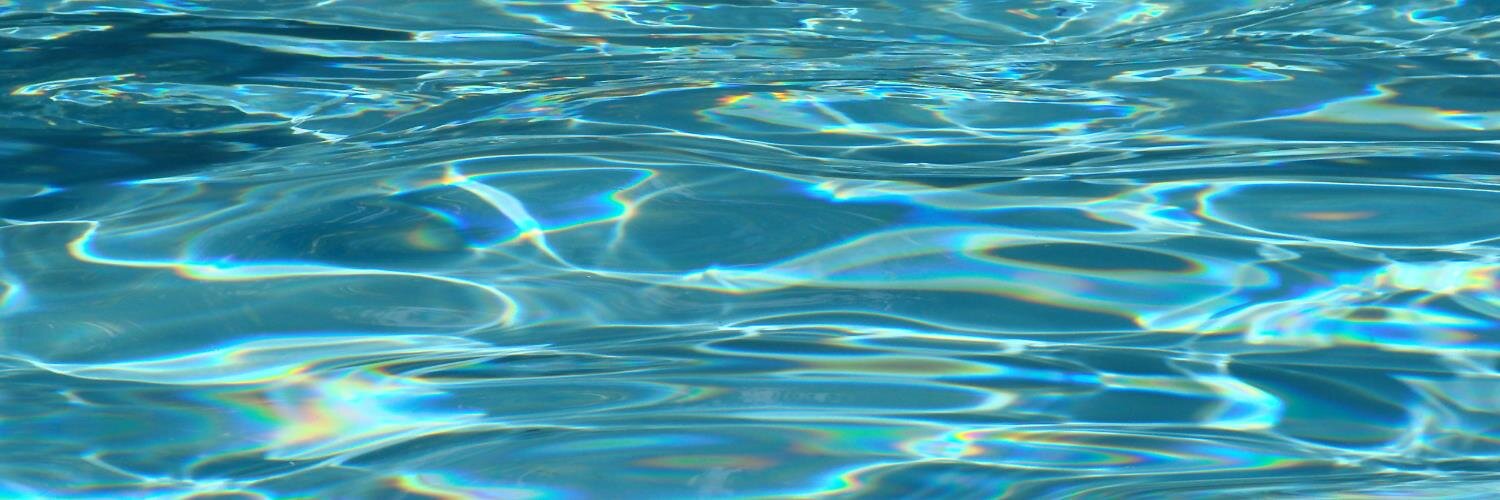 Pool Troopers banner