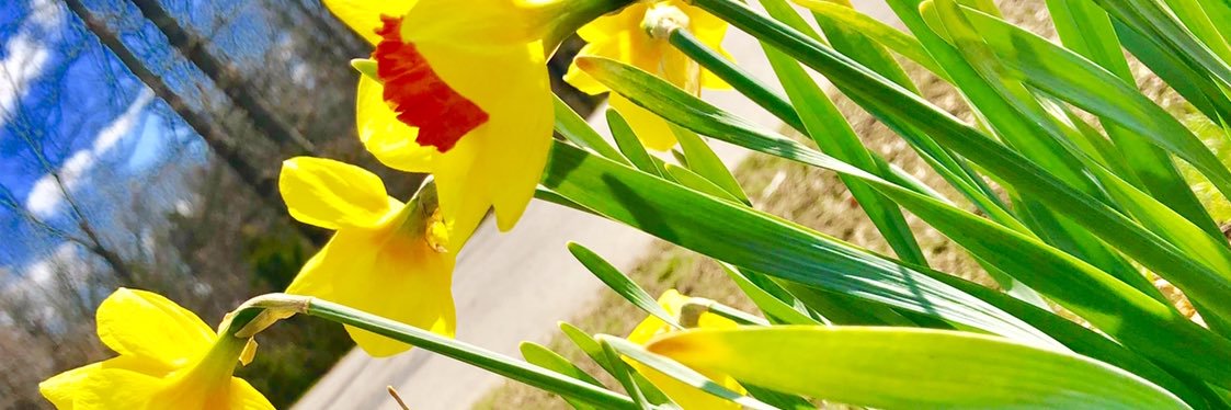 SuCL59's profile banner image