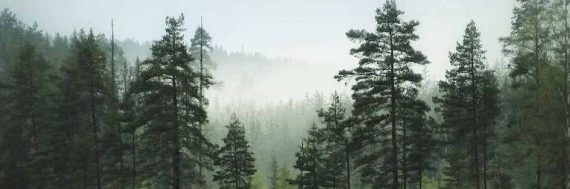 MarMarActnRight's profile banner image
