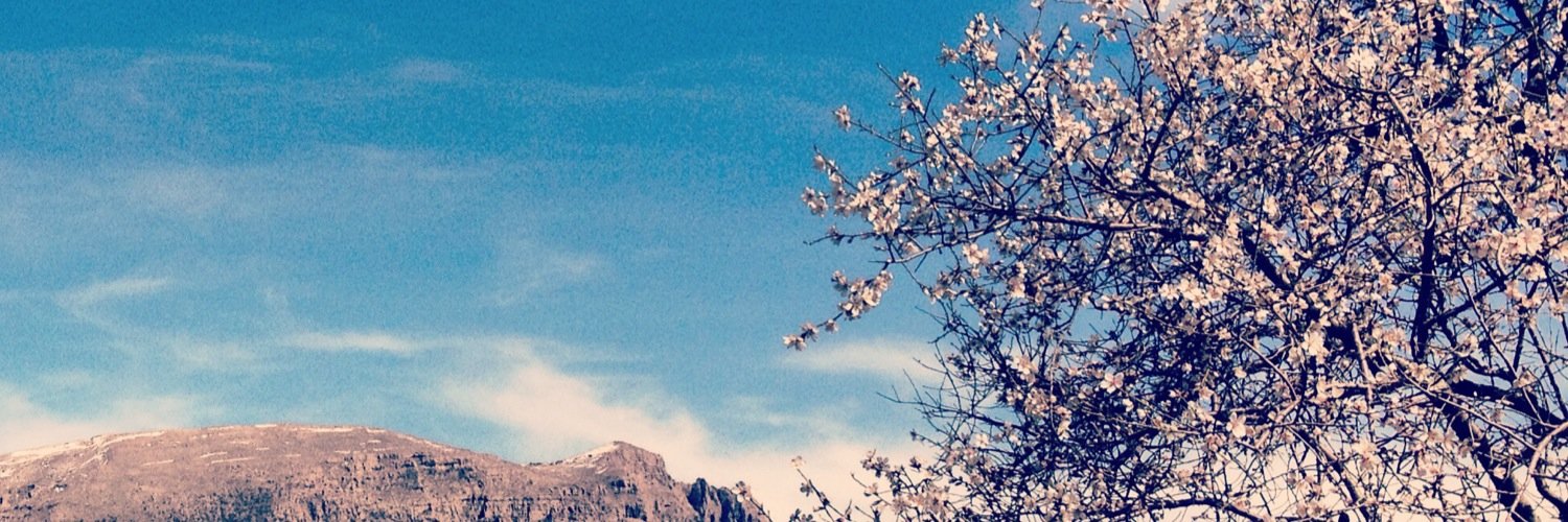 Darewan's profile banner image
