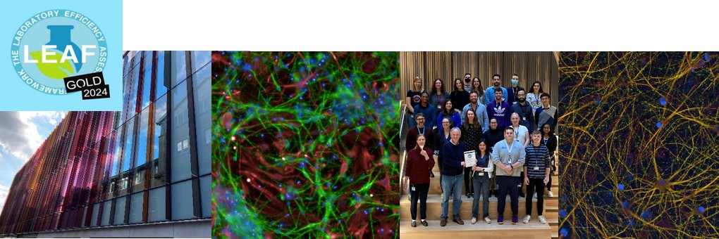 Wade-Martins Lab's banner
