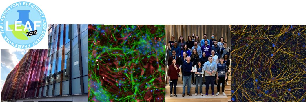 Wade-Martins Lab banner
