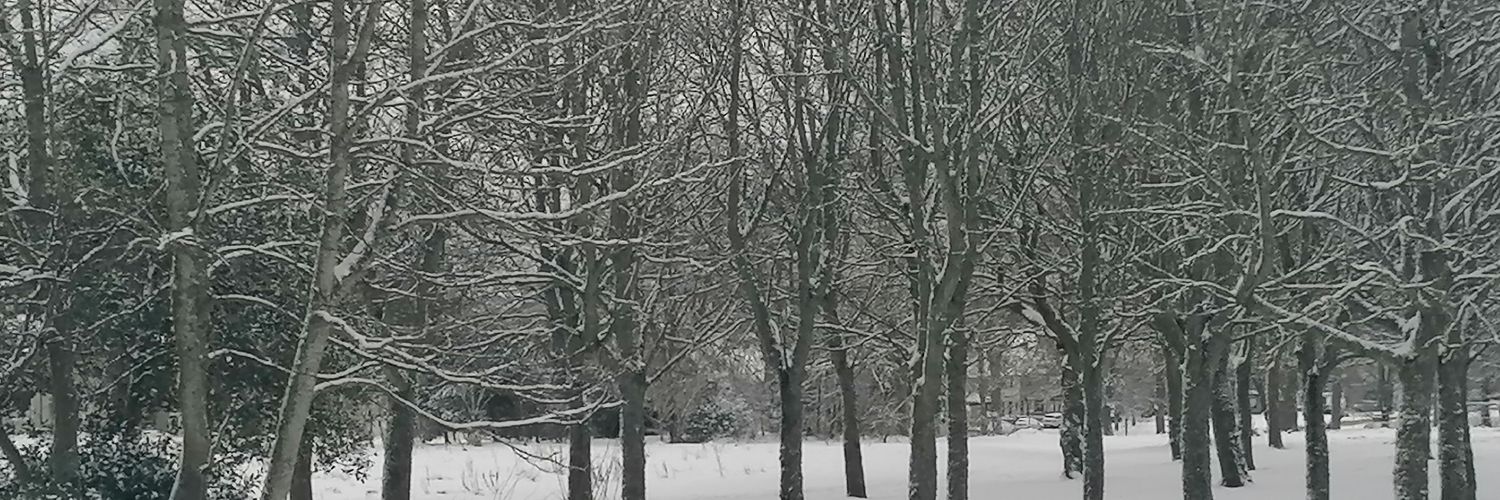 madelene1's profile banner image