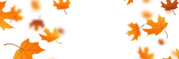 VivianJudith3's profile banner image