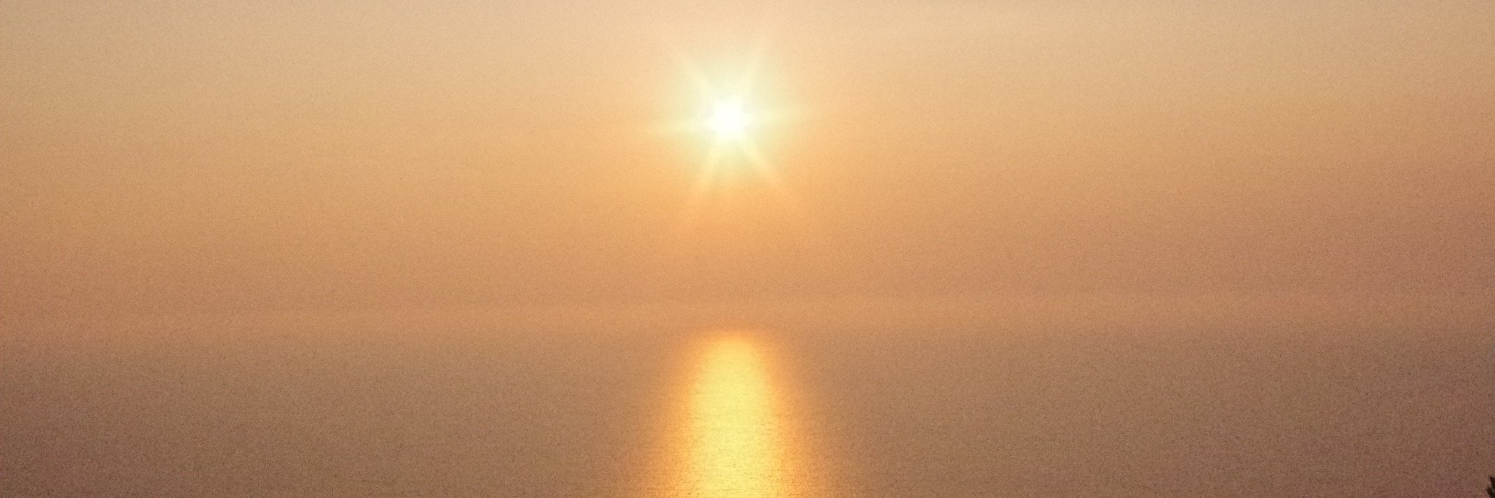distamio's profile banner image