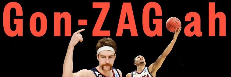 zagbball's profile banner image
