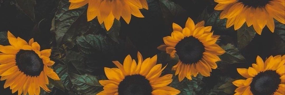 Emma_Navarro7's profile banner image