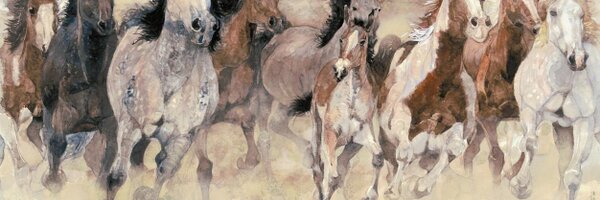 MHSBoysTrack Profile Banner