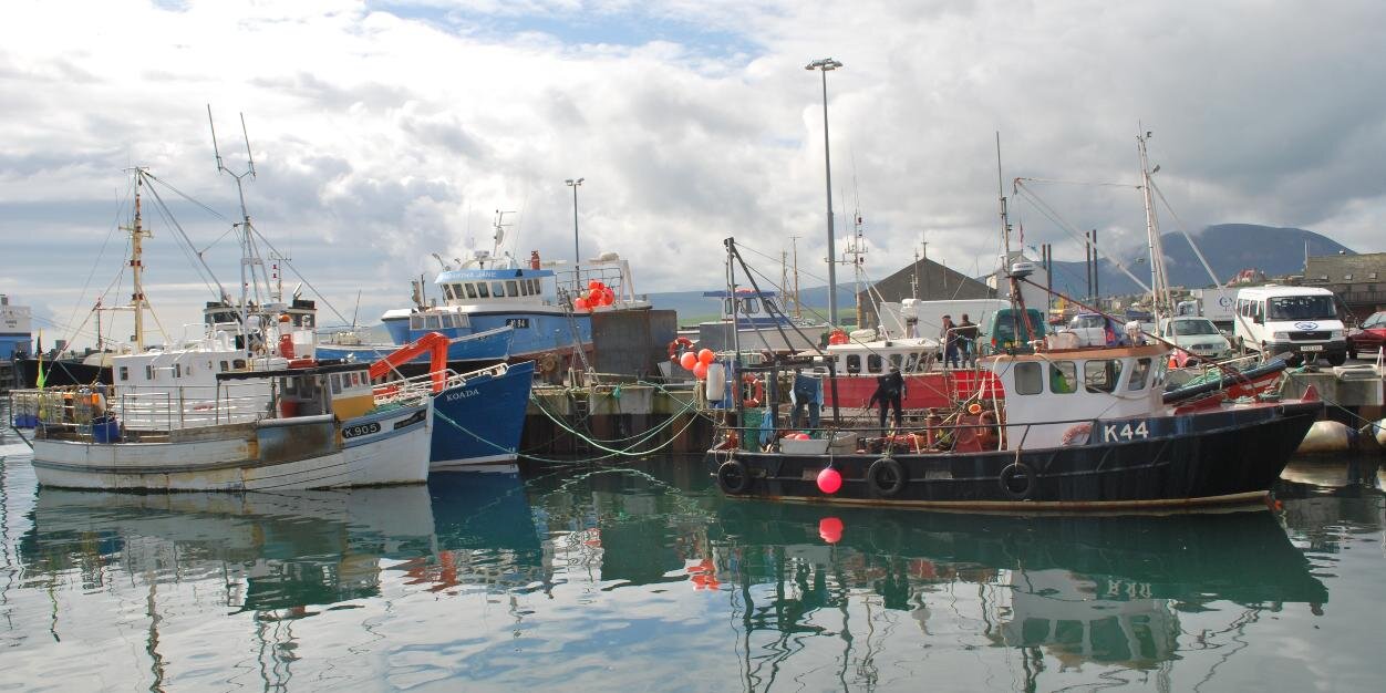 Luigi Francischello banner