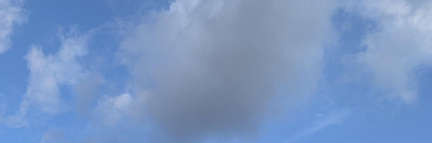 MOnsesb99's profile banner image
