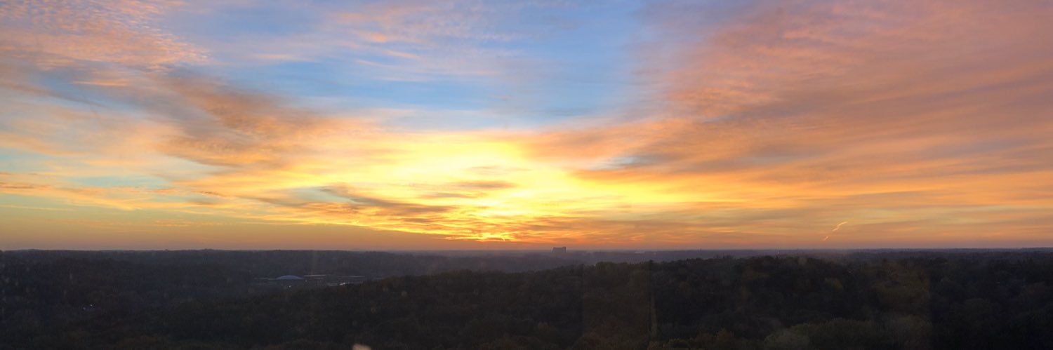 MrGibbs_Jr's profile banner image