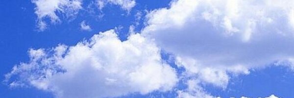 NewtonPrimary01 Profile Banner