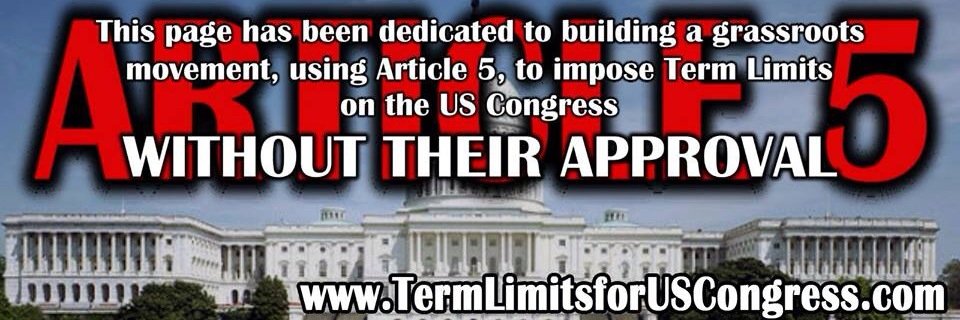 TermLimits4USC's profile banner image