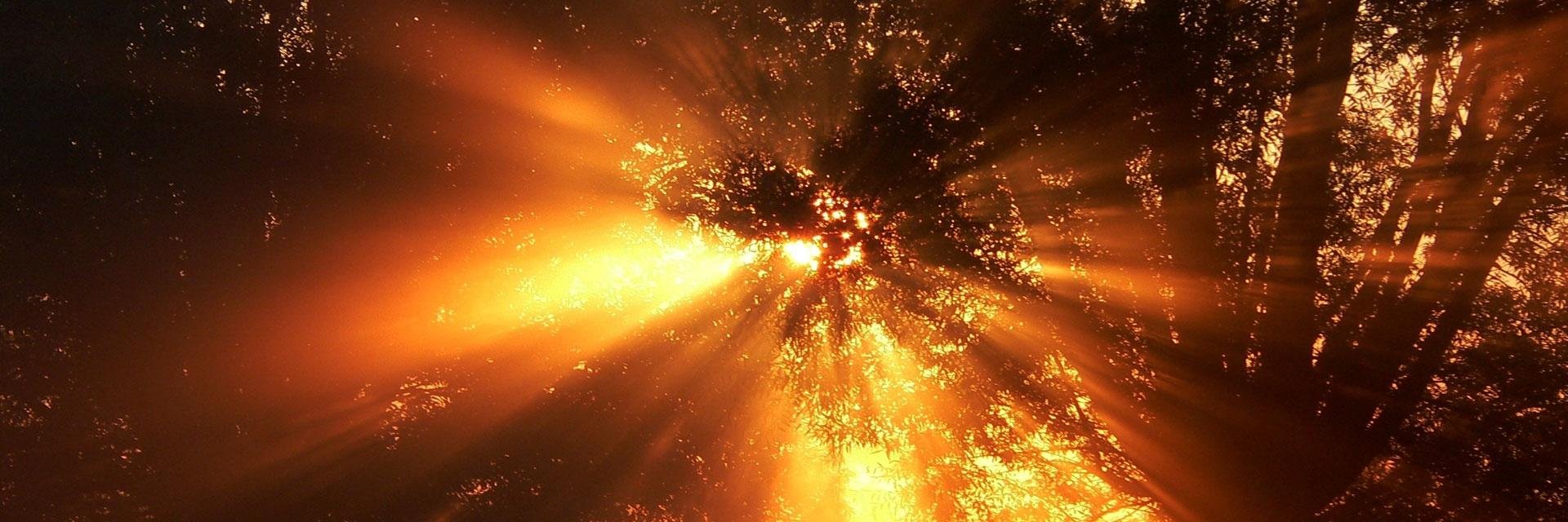 Claudia Bojorquez banner