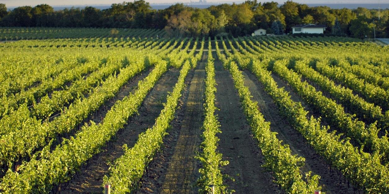 FingWineTour's profile banner image